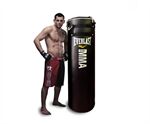 Bao cát boxing Everlast 1